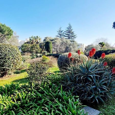 Studio Antibes Avec Piscine Экстерьер фото